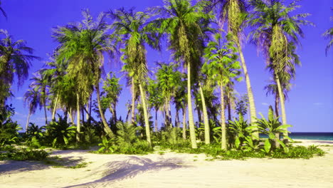 lush tropical oasis on a sunny beach with swaying palm trees and blue skies