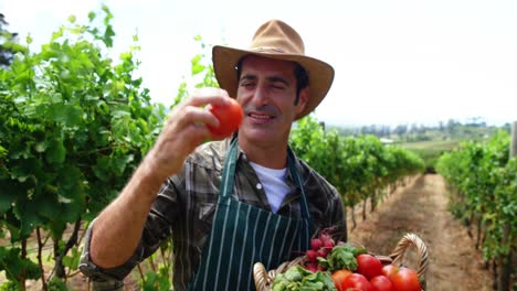 granjero con una canasta de frutas y verduras