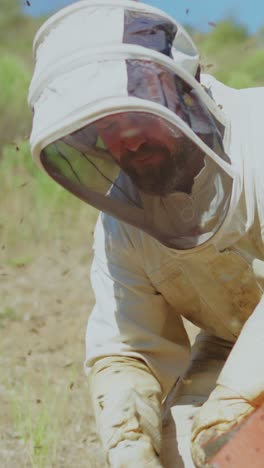 A beekeeper inspects a beehive surrounded by honey bees