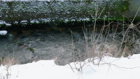 La-Nieve-Ha-Cubierto-La-Tierra-Cerca-Del-Río.