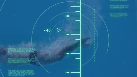 animation of scope scanning and data processing over caucasian man diving