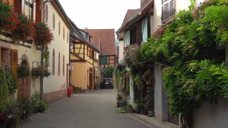 half timbered houses of bergheim are decorated with plants