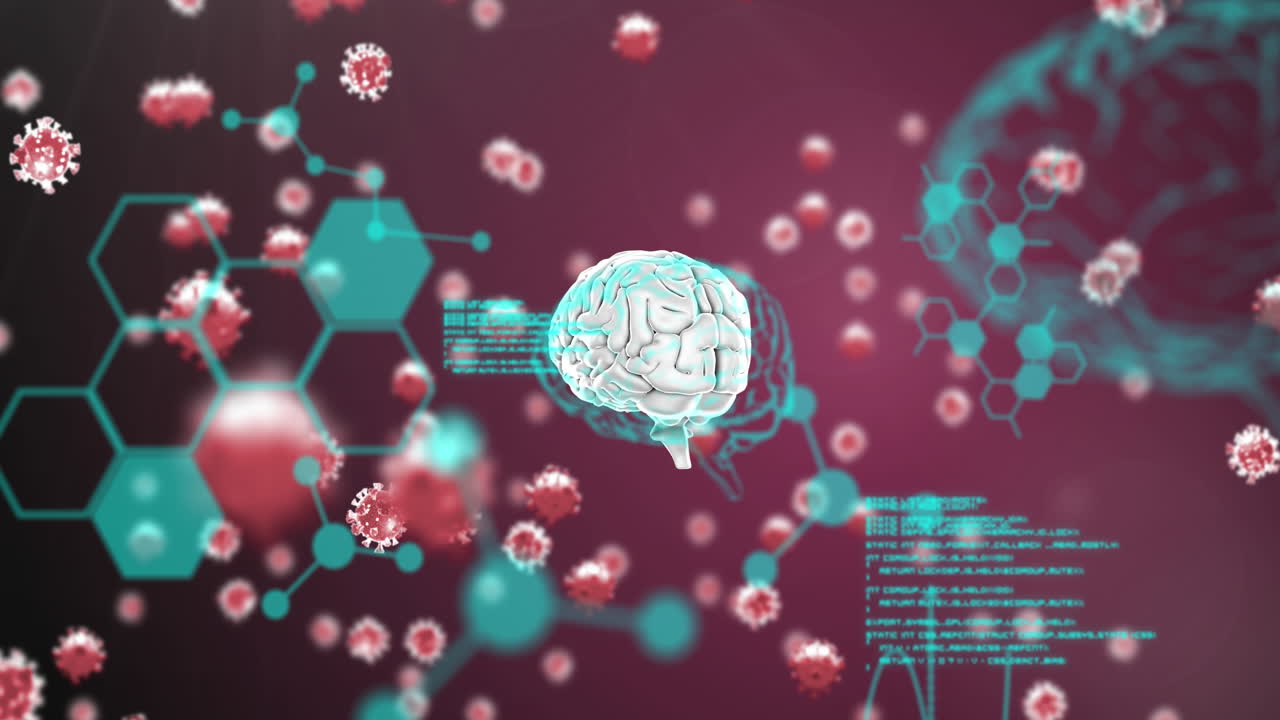 정보로 회전하는 뇌 위에 떠다니는 거대 코로나바이러스 코로나19 세포의 애니메이션