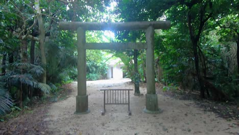 torii secreto en medio del parque nacional rural