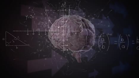 animación del procesamiento de datos matemáticos en el cerebro humano