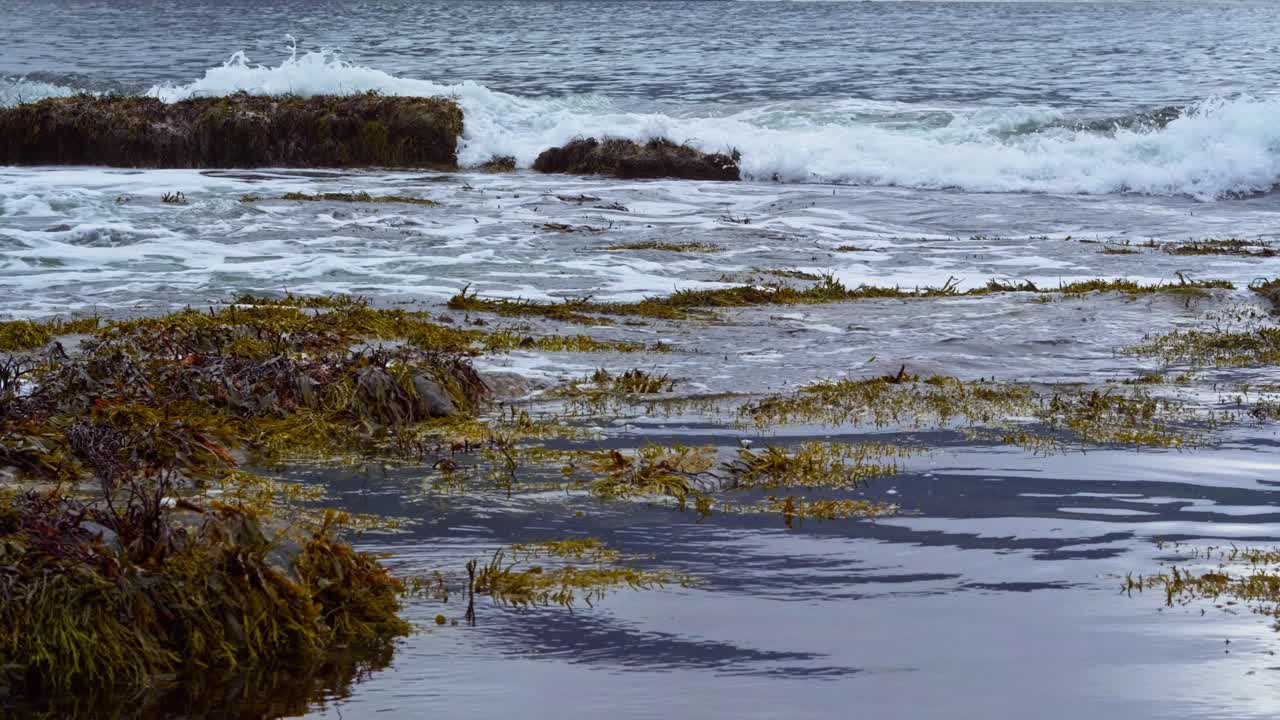 vista de cerca de las olas chocando contra las rocas cubiertas de algas en un día nublado de principios de otoño