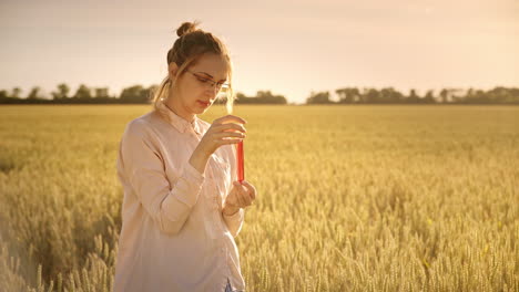 Agriculture-science-resercher-on-wheat-field.-Agriculture-research-experiment