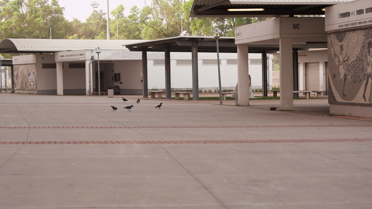 Place symétrique vide, vaste étendue de béton, lignes géométriques prononcées et perspective fuyante, lumière tamisée et voilée et longues ombres douces, petits pigeons pour donner l'échelle, immobilité cinématographique