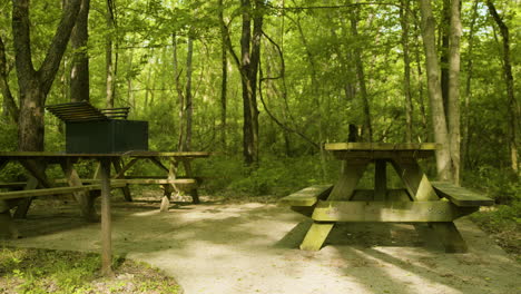 campsite in forest with picnic tables and grill slow pan