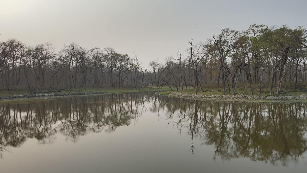 Peaceful wetlands featuring clear reflections of surrounding trees on still water. Captures the tranquil harmony between water and forest, perfect for nature, relaxation, or environmental content