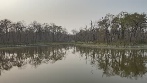 peaceful wetlands featuring clear reflections of surrounding trees on still water. captures the tranquil harmony between water and forest, perfect for nature, relaxation, or environmental content
