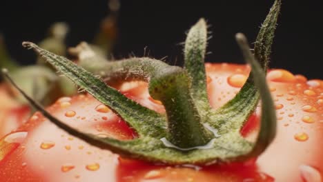 close-up of a fresh tomato with dew droplets on its skin, showcasing the rich texture and vibrant colors alongside lush green stem
