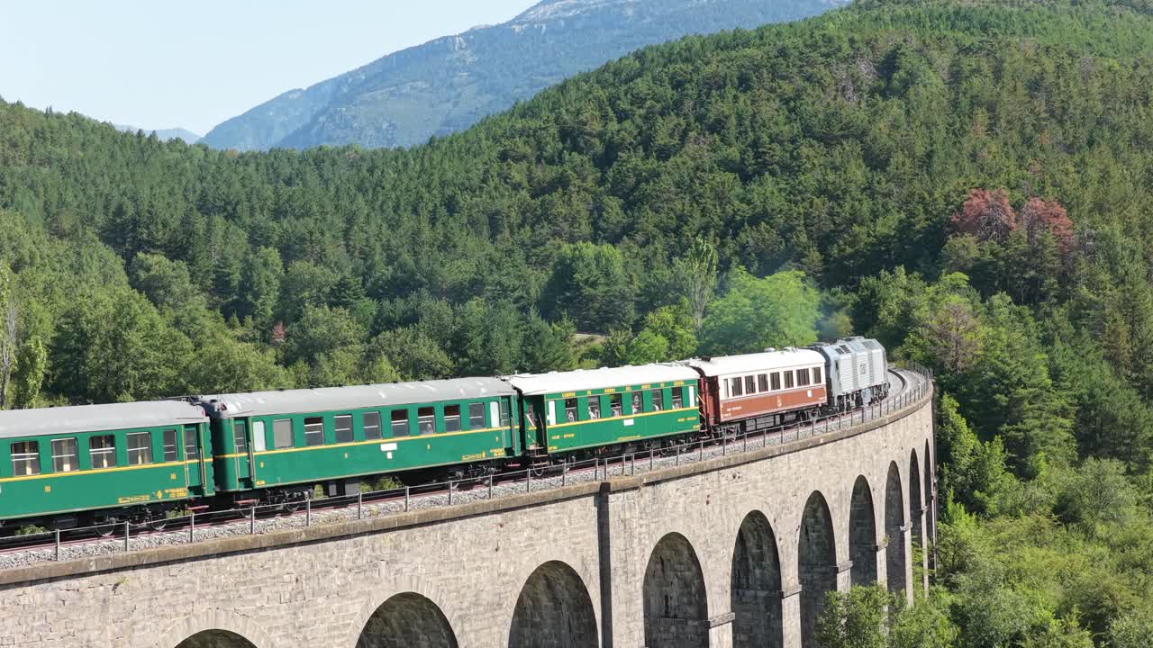Zug auf einem Viadukt in einem Wald
