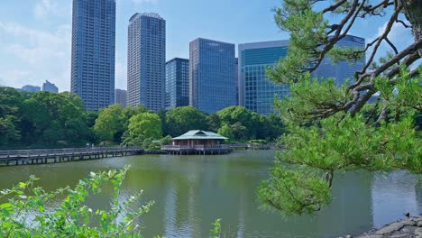 beautiful japanese traditional garden and pond with skyscrapers tokyo