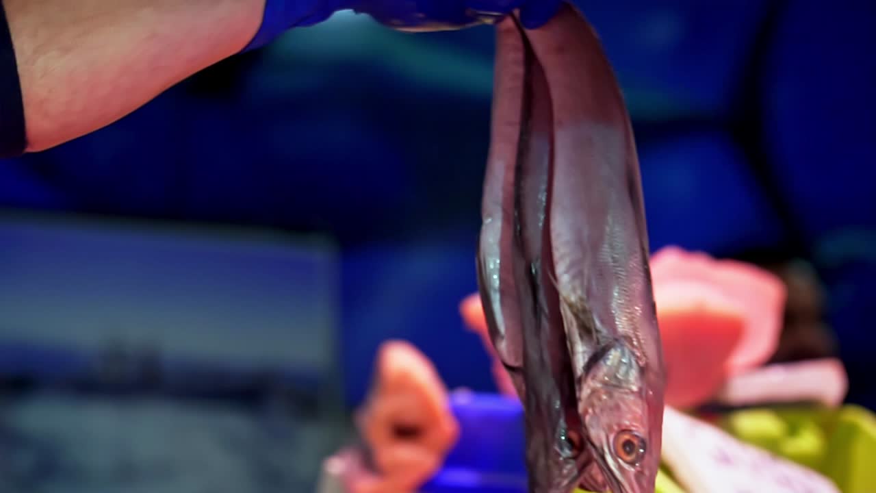 시장에서 판매하기 위해 저울에 있는 신선한 생선을 슬로우 모션으로 계량하는 생선 장수의 클로즈업