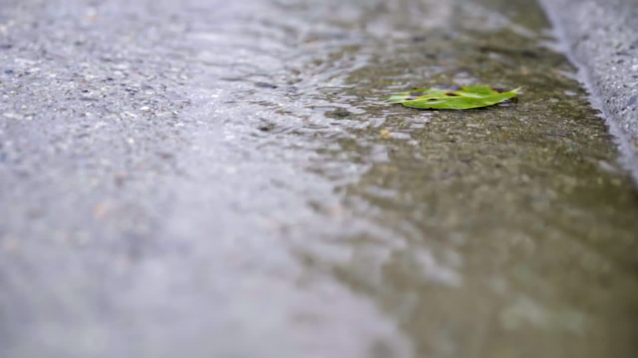Slow Motion of Green Leaf Floating in Sidewalk Gutter Stream