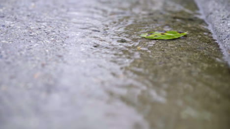 slow motion of green leaf floating in sidewalk gutter stream