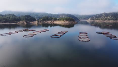 aerial view over a fish farm with lots of fish enclosures on cages