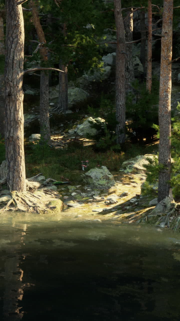 un sendero pintoresco que conduce a través de un bosque a un lago