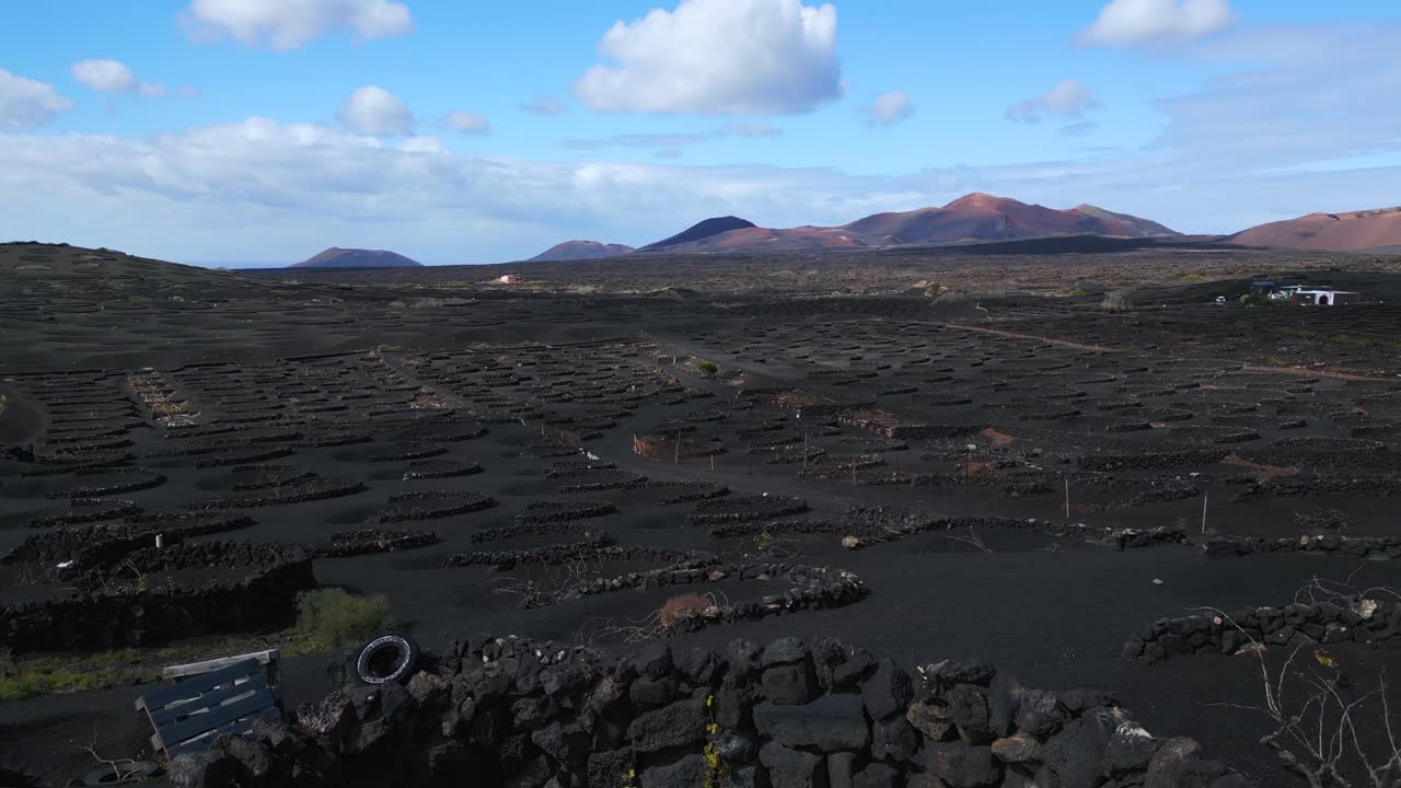 식물을 보호하는 검은 돌담