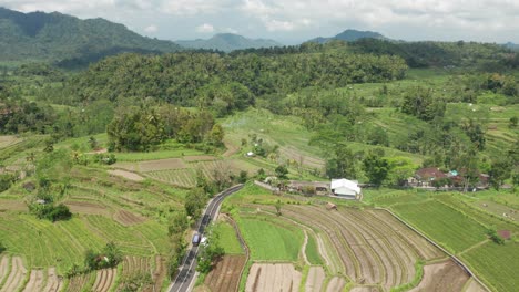 Bali-Isla-Indonesia-Campo-Exótico