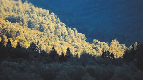 Aerial-view-of-the-miniaturized-steep-forest-covered-slopes-and-a-lake-below