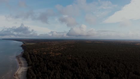 orbital drone shot above the forest next to baltic sea
