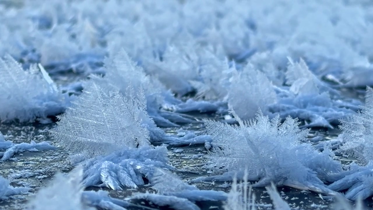 Cristalli di ghiaccio intricati, noti come fiori di brina, che si formano sulla superficie in uno scatto macro.