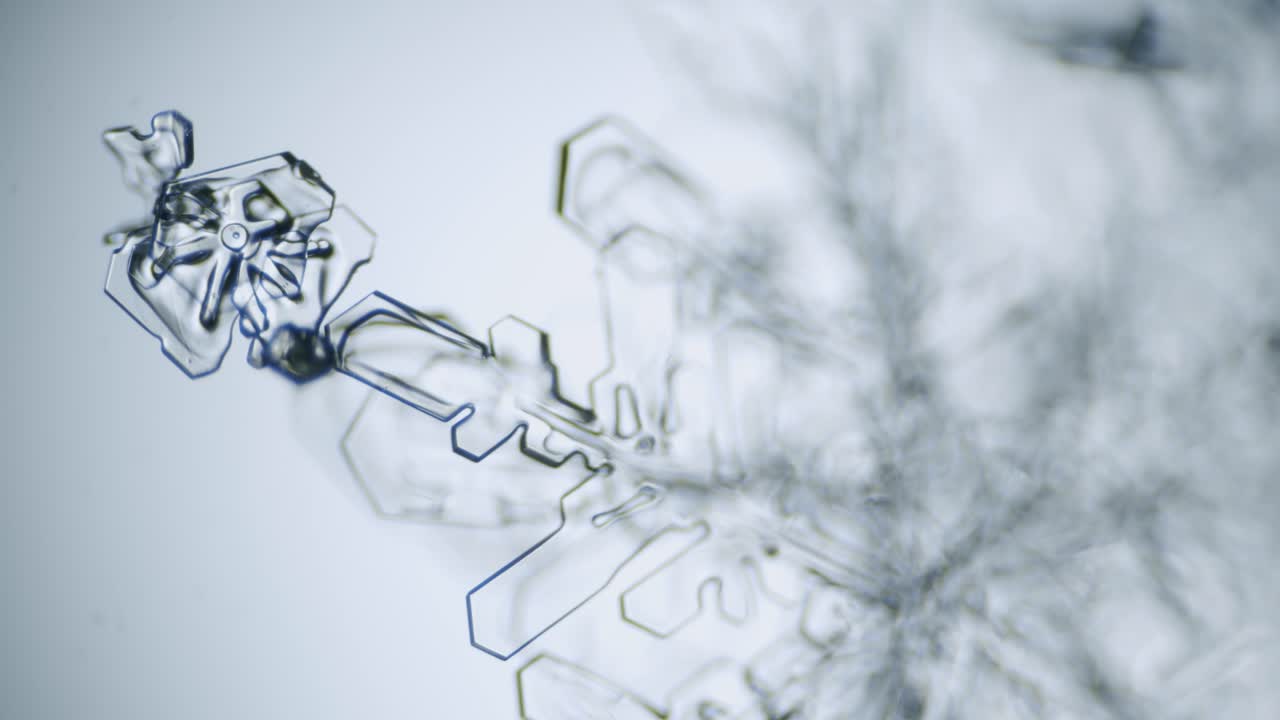 현미경으로 눈송이 얼음 결정 별 수상 돌기