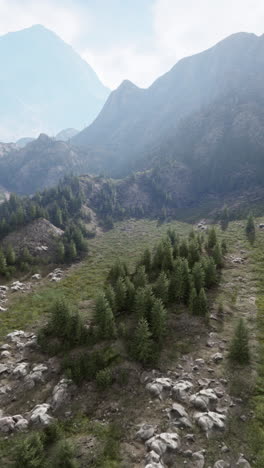 aerial view of a mountain valley with forest and rocks