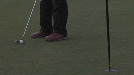 골프공을 치는 것. 확대. 느린