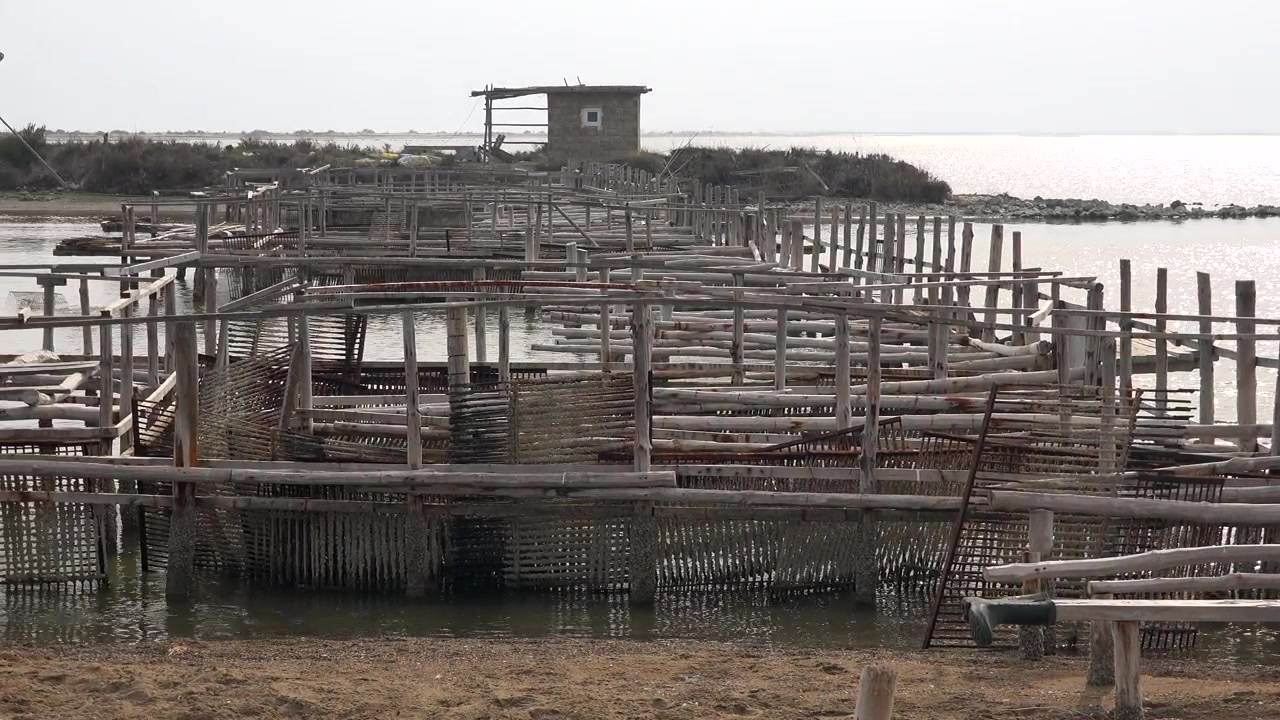 Piège à poissons traditionnel en bois dans des eaux côtières calmes