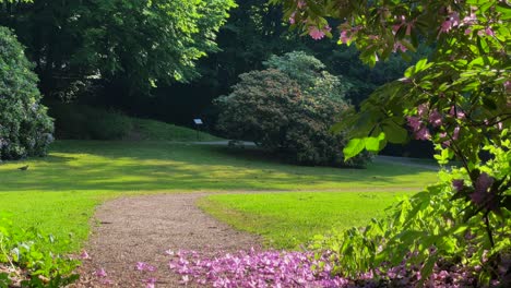 Grüner-Paradiespark-Auf-Erden