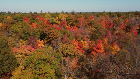 scenic fall colors in treetops - aerial view of yellow, orange and red foliage