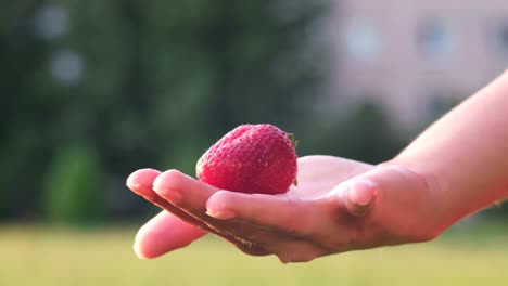 woman demonstrates summer harvest of red cherries from the garden in the countryside woman demonstrates summer harvest of red cherries from the garden in the countryside pure berries close up