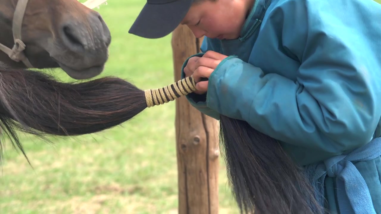 Pastore mongolo che intreccia e lega la coda di un cavallo