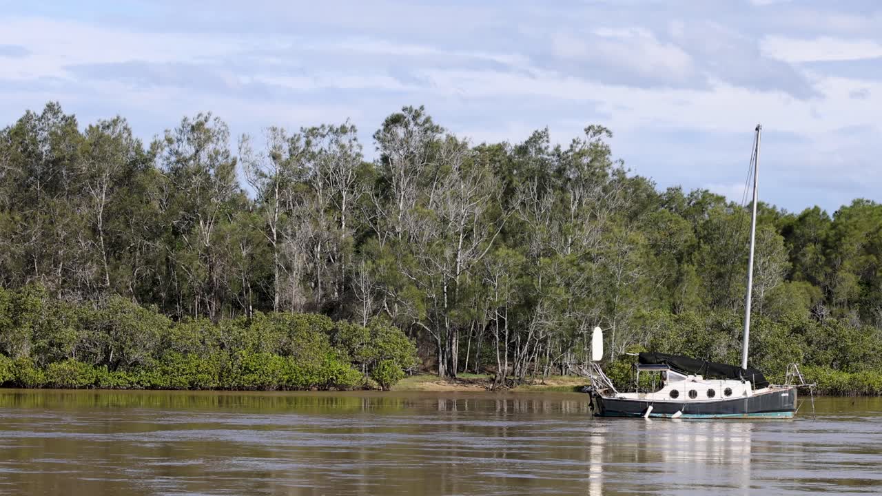 Sailboat slowly drifts on tranquil river, lush forest background, natural daylight, steady wide shot