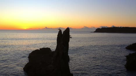 cathedral rocks silhouette with cormorant moving it's wings at sunset near kiama downs, nsw, australia