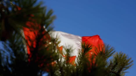 Zeitlupenclip-Einer-Kanadischen-Flagge,-Die-Bei-Sehr-Starkem-Wind-In-Vancouver-Weht