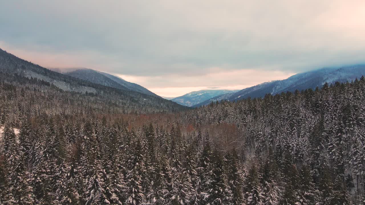 hora dorada en el invierno místico: hermosa toma de drones de bosques cubiertos de nieve y majestuosas montañas en la región de thompson-nicola, bc, canadá