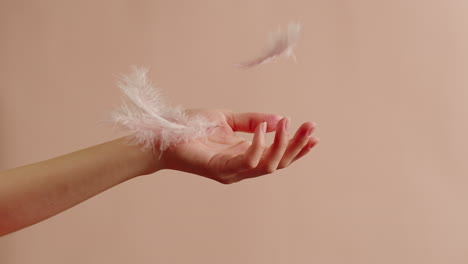 Woman's Hand with Pink Feathers