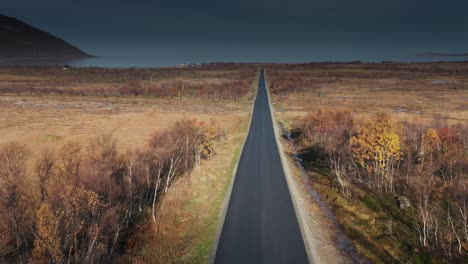 the narrow stripe of the black asphalt road runs through the autumn tundra to the seashore