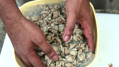 carne de almeja negra, después de lavar la carne en el cuenco con agua, el agua se transfiere al drenaje, cocina tradicional al aire libre