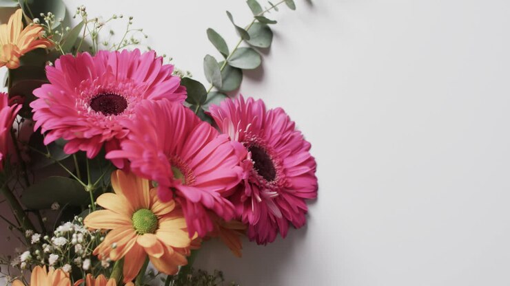 Vídeo de un ramo de flores multicolores y espacio para texto sobre fondo blanco