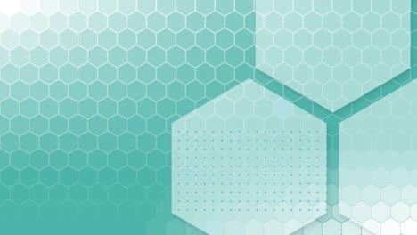 Honeycomb-shapes-on-turquoise-background