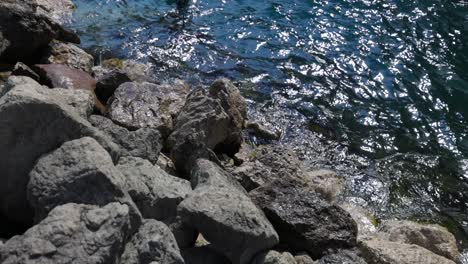 Close-up-of-small-waves-beating-into-rocks-on-coastline,-sunny-day