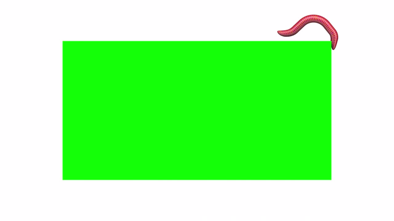 녹색 직사각형에 벌레, 루핑 3d 애니메이션