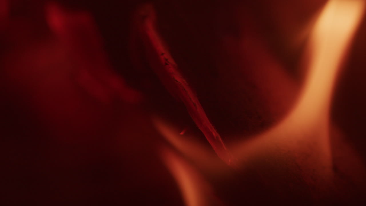 나무 조각에 있는 균열의 클로즈업 샷