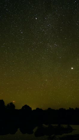 colorful starry sky over the forest in nature landscape. light pollution in the sky from a city lights far away. mild aurora borealis in green colors. vertical video of sky timelapse full of stars.