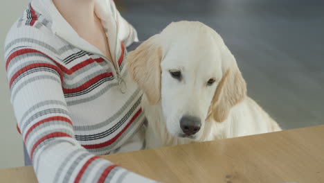 woman and golden retriever at table